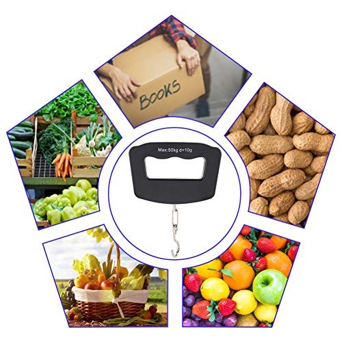 50kg Portable Handheld Digital - Fishing Hook Stainless Steel reseña y precio